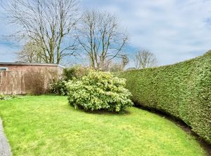 Side Garden- click for photo gallery